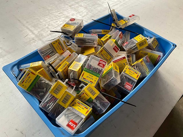 Rotadrill diverse schroeven rvs, verzinkt en messing in blister (100x) - afbeelding 5 van  6