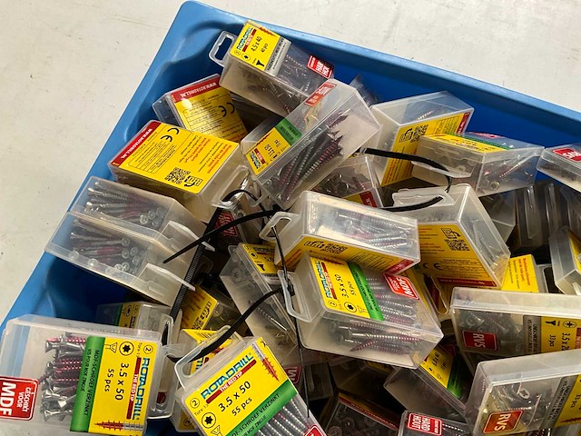 Rotadrill diverse schroeven rvs, verzinkt en messing in blister (100x) - afbeelding 7 van  8