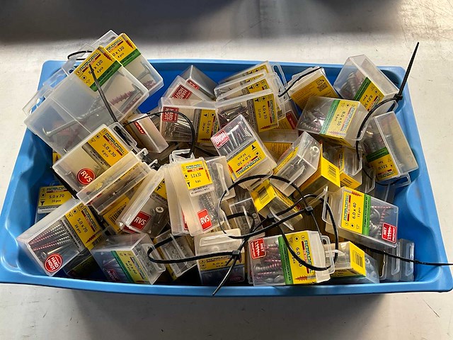 Rotadrill diverse schroeven rvs, verzinkt en messing in blister (100x) - afbeelding 1 van  5