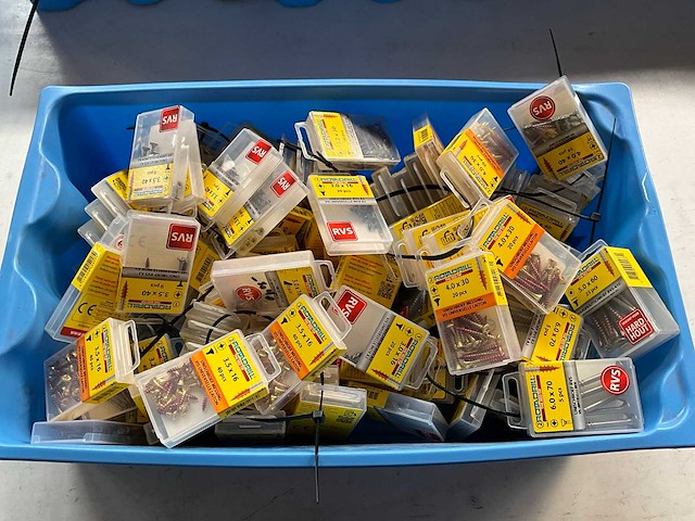 Rotadrill diverse schroeven rvs, verzinkt en messing in blister (100x) - afbeelding 1 van  7