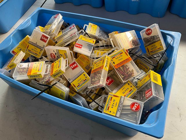 Rotadrill diverse schroeven rvs, verzinkt en messing in blister (100x) - afbeelding 7 van  7