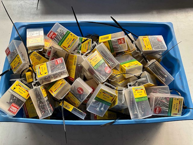 Rotadrill diverse schroeven rvs, verzinkt en messing in blister (100x) - afbeelding 1 van  4