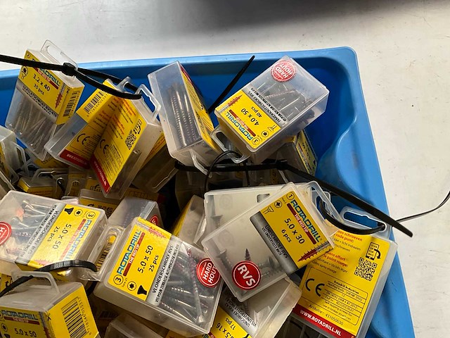 Rotadrill diverse schroeven rvs, verzinkt en messing in blister (100x) - afbeelding 3 van  7