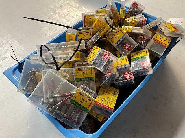 Rotadrill diverse schroeven rvs, verzinkt en messing in blister (100x) - afbeelding 7 van  7