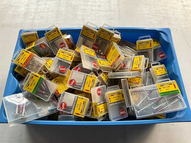 Rotadrill diverse schroeven rvs, verzinkt en messing in blister (100x) - afbeelding 1 van  6