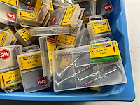 Rotadrill diverse schroeven rvs, verzinkt en messing in blister (100x) - afbeelding 2 van  6