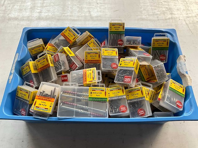 Rotadrill diverse schroeven rvs, verzinkt en messing in blister (100x) - afbeelding 1 van  6