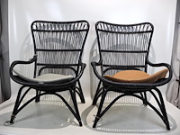 Rotanstoel (x2)
