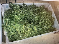 Royal christmas kerst- & seizoensartikelen - afbeelding 2 van  5