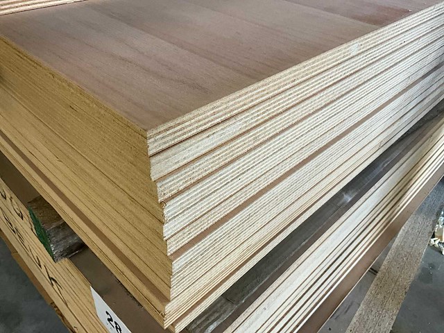Roze beuk plaatmateriaal (30x) - afbeelding 1 van  1