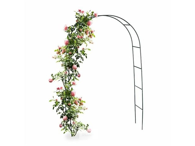 Rozenboog - afbeelding 1 van  5