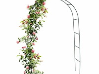 Rozenboog - afbeelding 1 van  5