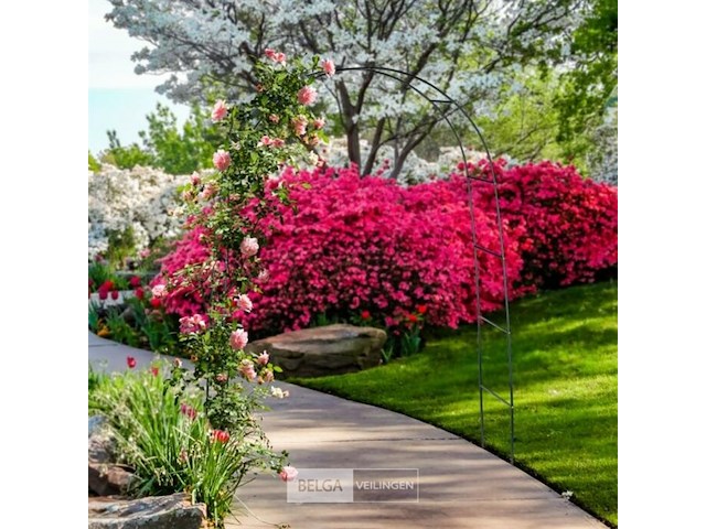 Rozenboog - afbeelding 2 van  5