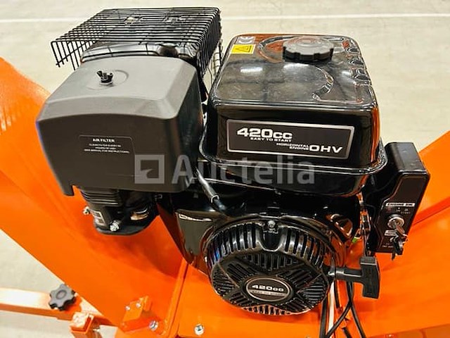 Rte - 2025 - 6780 - houthakselaar benzine - afbeelding 1 van  6