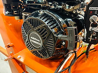 Rte - 2025 - 6780 - houthakselaar - afbeelding 5 van  10