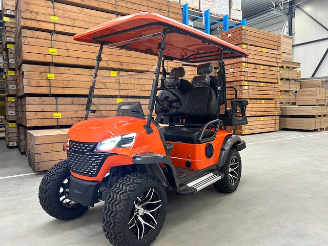 Rte elektrische golfkar 2+2 zits - afbeelding 16 van  29