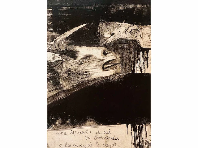 Ru van rossem - toros - ets, aquatint - lage instelprijs - afbeelding 2 van  9