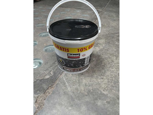 Rubson elk weer plus potten beschermde coating voor daken en goten (2x) - afbeelding 1 van  4