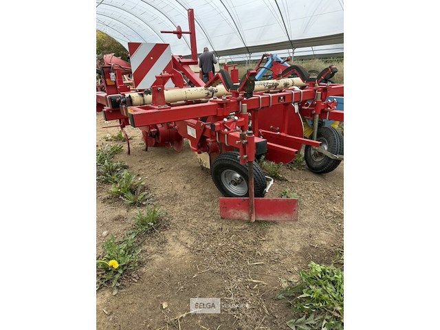 Ruggentrekker groot deto - afbeelding 3 van  7