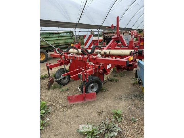 Ruggentrekker groot deto - afbeelding 4 van  7