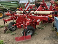 Ruggentrekker groot deto - afbeelding 4 van  7