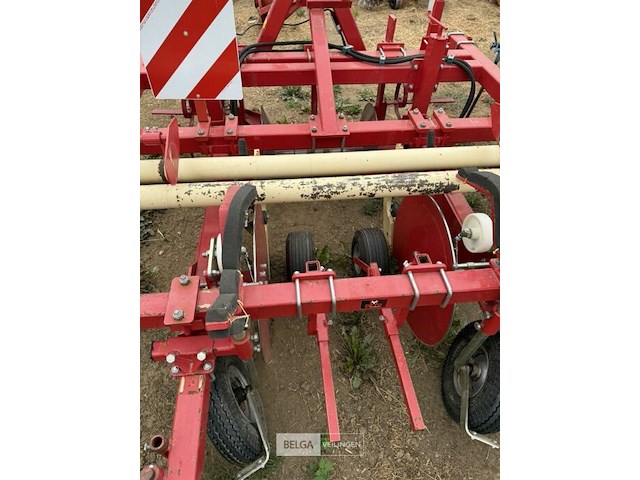 Ruggentrekker groot deto - afbeelding 6 van  7