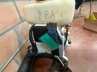 Rugspoeier - afbeelding 3 van  4