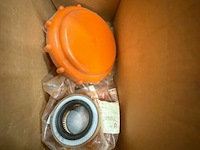 Rugspoeier - afbeelding 4 van  4