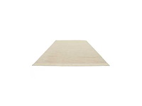 Rugvista core serafina - beige wollen tapijt - 300 x 400 cm - afbeelding 3 van  8