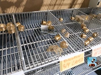 Ruim assortiment aan afdichtingen en koppelingen - afbeelding 14 van  20
