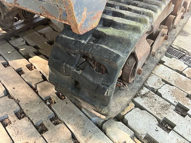 Rupsdumper - afbeelding 4 van  34