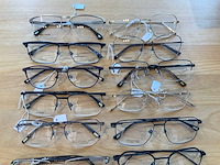 Ruud van dyke designer montuur (13x) - afbeelding 4 van  7