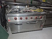 Rvs 6-pits gasvuur justa