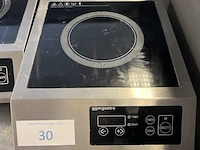 Rvs inductiekookplaat ggmgastro