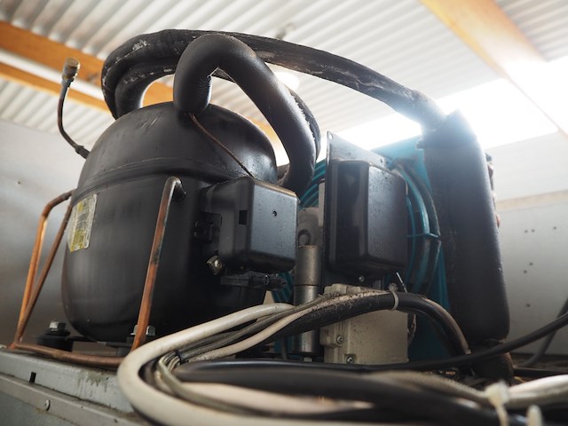 Sagi - afbeelding 6 van  6