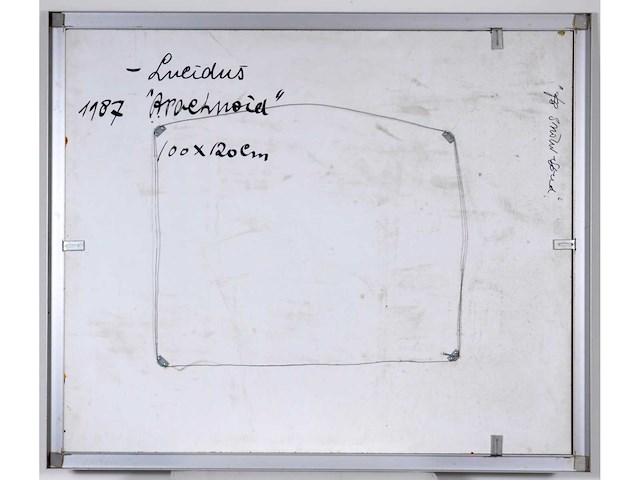 Sala - lucidus arachnoia - acryl op paneel - 118x98 cm - 1987 - afbeelding 7 van  9