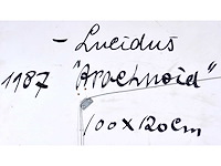 Sala - lucidus arachnoia - acryl op paneel - 118x98 cm - 1987 - afbeelding 8 van  9
