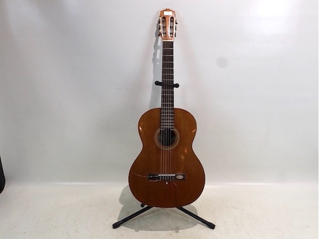 Salavador cortez gitaar - afbeelding 1 van  8
