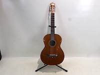 Salavador cortez gitaar