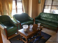 Salon in groen leder