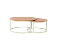 Salontafel set bailey (2x) - afbeelding 1 van  1