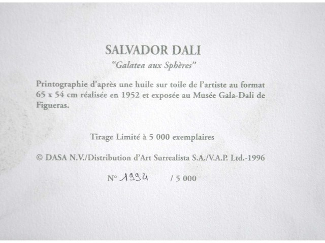 Salvador dali - galatea aux sphères - print - afbeelding 5 van  5