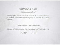Salvador dali - galatea aux sphères - print - afbeelding 5 van  5