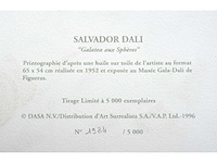 Salvador dali - galatea aux sphères - printografie - afbeelding 5 van  5