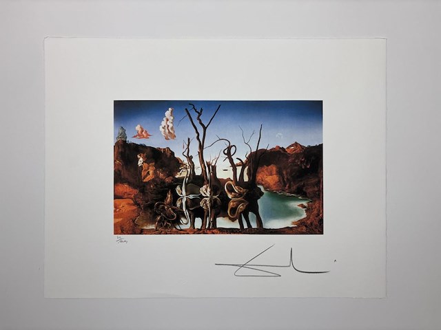 Salvador dali - gelimiteerde editie - afbeelding 1 van  1