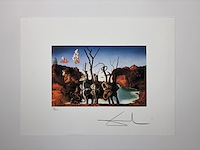 Salvador dali - gelimiteerde editie - afbeelding 1 van  1