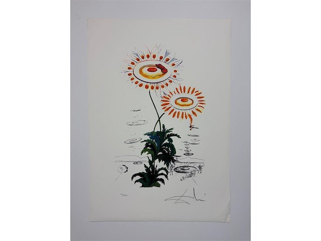 Salvador dali - gelimiteerde editie - afbeelding 1 van  1