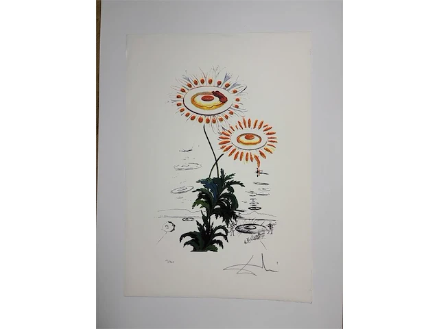 Salvador dali - gelimiteerde editie - afbeelding 1 van  1