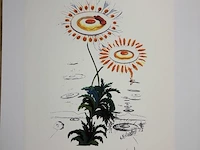 Salvador dali - gelimiteerde editie