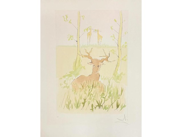 Salvador dali - gesigneerd - afbeelding 1 van  1